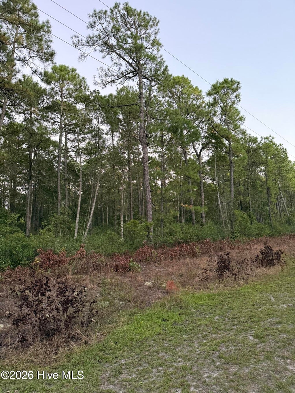 Photo of 16031619 Breezeway Drive SW, Ocean Isle Beach, NC 28469 (MLS # 100610617)