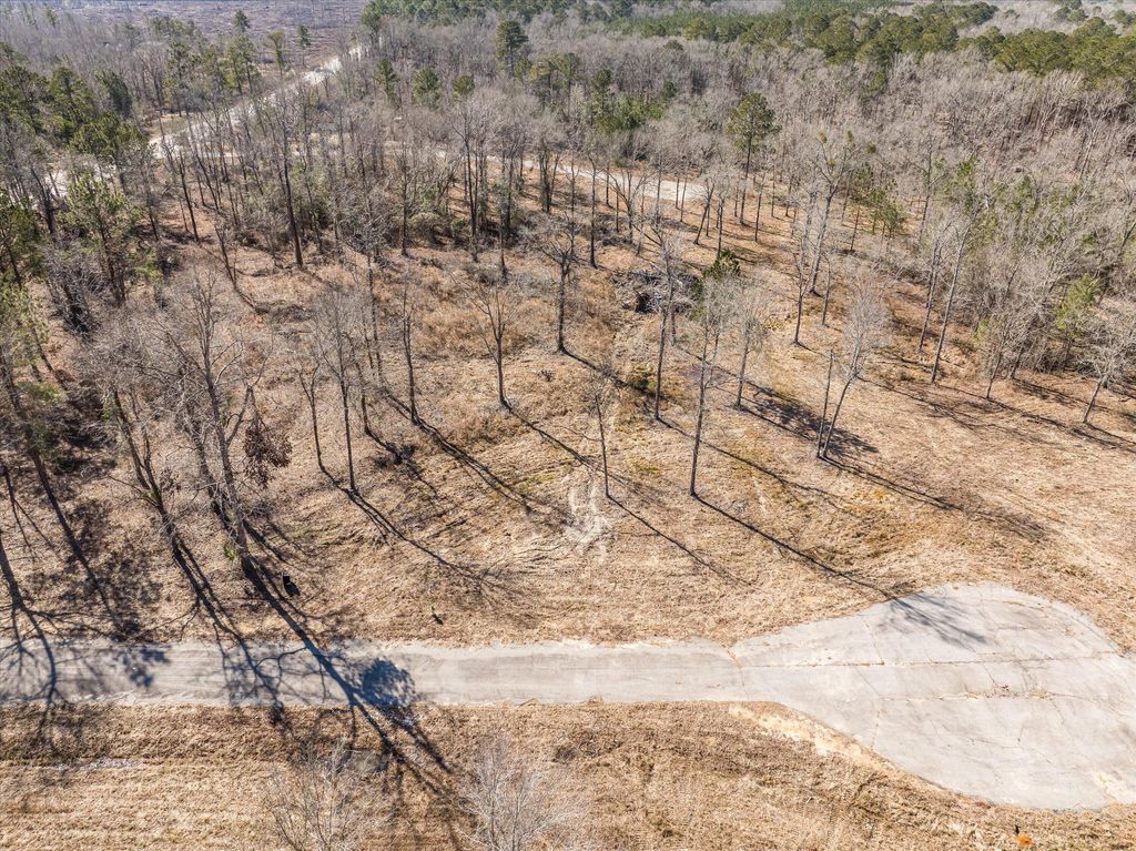 Photo of 141 Big Rock Road, Thomson, GA 30824 (MLS # 555646)