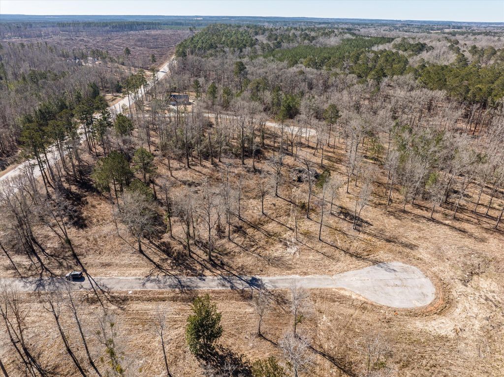 Photo of 141 Big Rock Road, Thomson, GA 30824 (MLS # 555646)