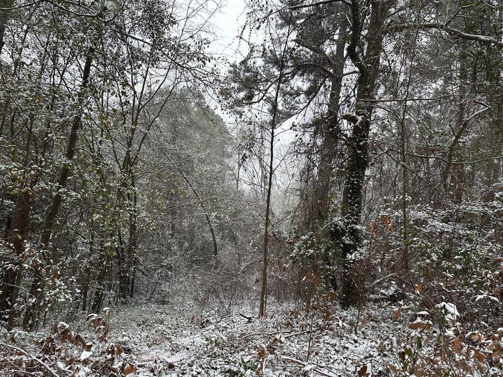 Photo of 3512 Buckner Drive, Hephzibah, GA 30815 (MLS # 551852)