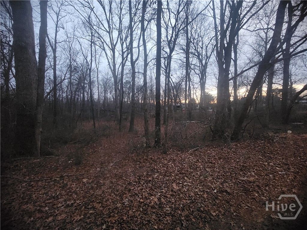 Photo of 160 Tanglewood Lane, Hartwell, GA 30643 (MLS # CL348632)