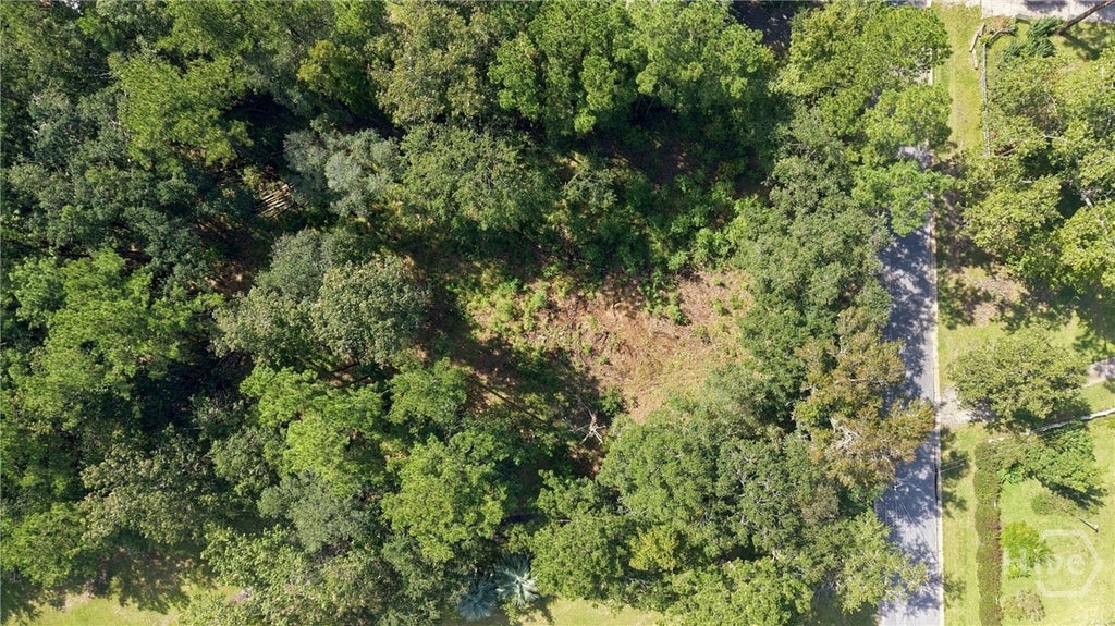 Photo of 2 Lake No No Road, Midway, GA 31320 (MLS # SA366507)