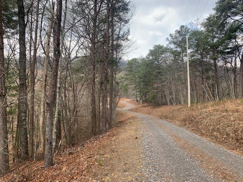 Vacant Land For Sale - LOT 20 Wolf Ridge Lane<br/> Murphy, NC 28906