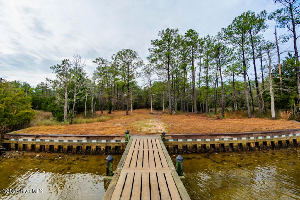 Photo of 202 Mills Road, Oriental, NC 28571 (MLS # 100543153)