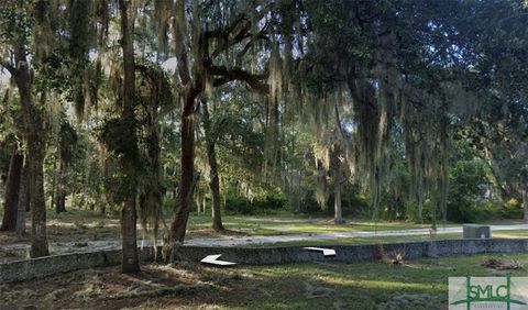 Vacant Land For Sale - 1100 Hudson Creek Court<br/> Mcintosh County, Darien, GA 31305