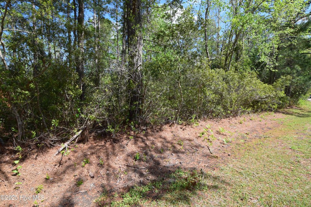 Photo of 5705 Gondolier Drive, New Bern, NC 28560 (MLS # 100535188)