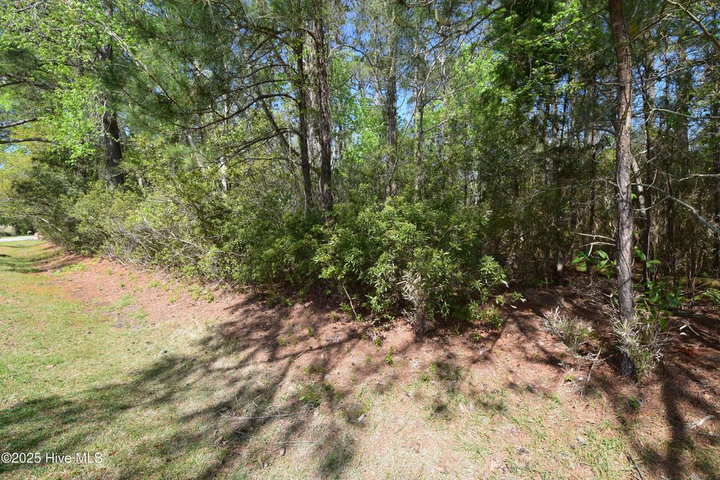 Photo of 5705 Gondolier Drive, New Bern, NC 28560 (MLS # 100535188)