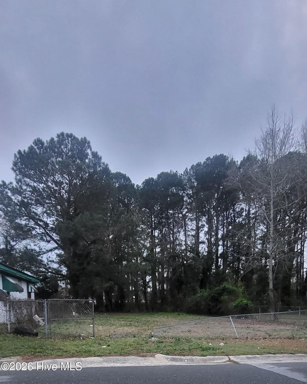 Photo of 236 Wayne Avenue, Goldsboro, NC 27530 (MLS # 100564960)