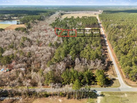 Tiny photo for 6 Peach Court, Burgaw, NC 28425 (MLS # 100569185)