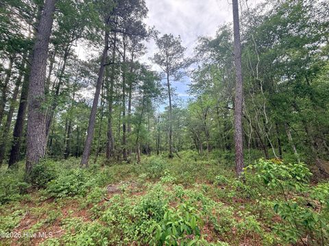 Tiny photo for 6 Peach Court, Burgaw, NC 28425 (MLS # 100569185)