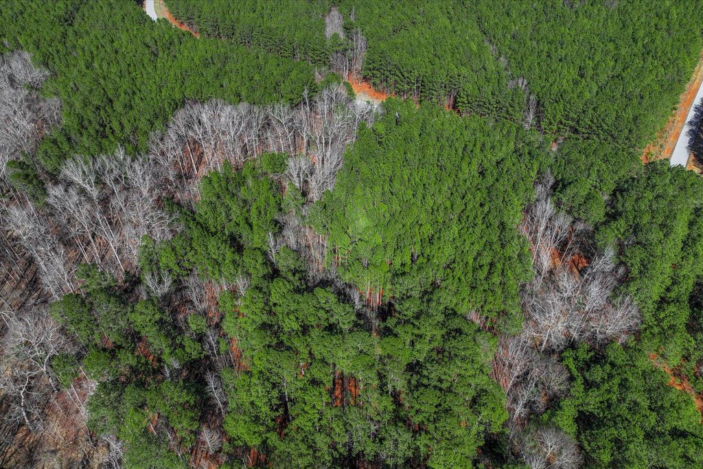 Photo of 1154 Hardwood Drive, Tignall, GA 30668 (MLS # 552276)