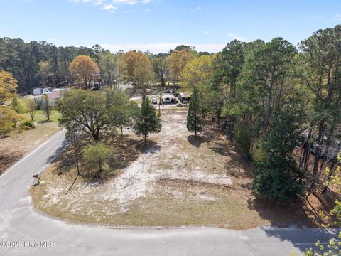 Tiny photo for 108 King Moore Road, Leland, NC 28451 (MLS # 100565348)