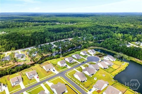 Homes For Sale - 257 Heron Creek Drive<br/> Richmond Hill, GA 31324