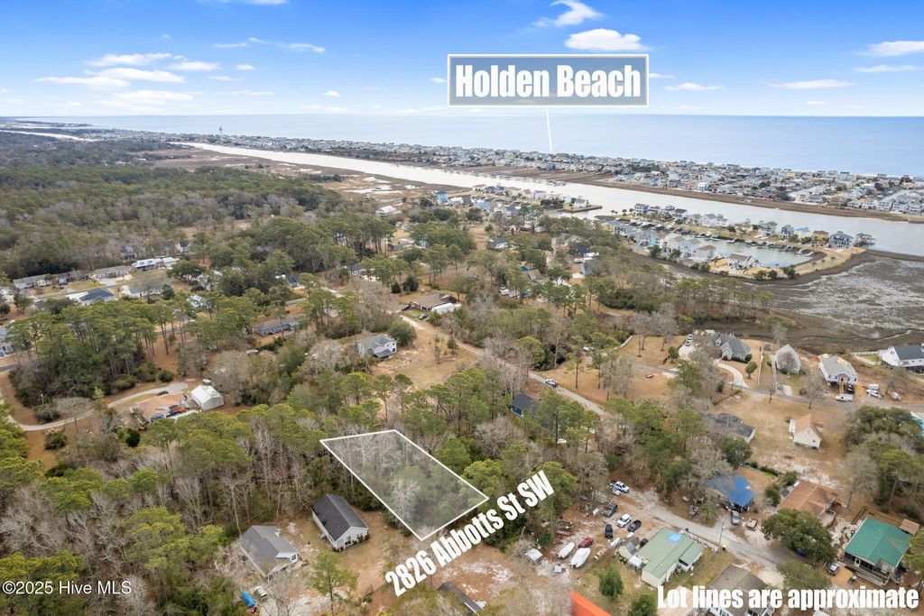 Photo of 2826 Abbotts Street SW, Supply, NC 28462 (MLS # 100493003)