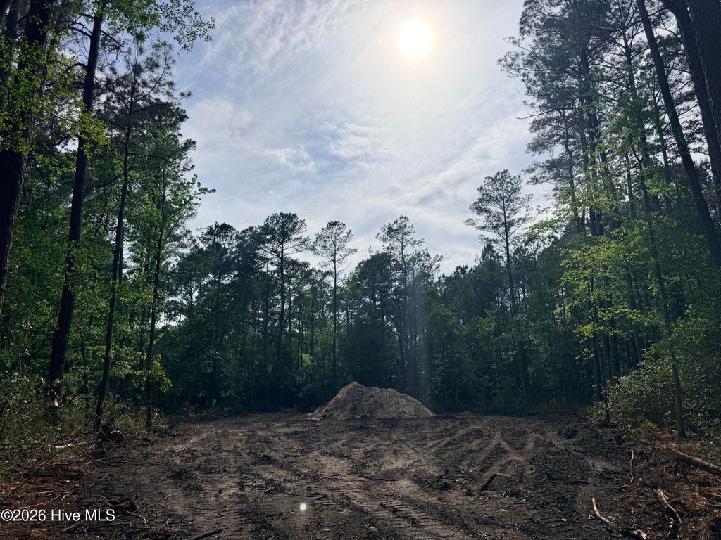 Photo of 1 Page (Crabtree) Road, Burgaw, NC 28425 (MLS # 100565890)
