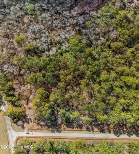 Tiny photo for 1 Page (Crabtree) Road, Burgaw, NC 28425 (MLS # 100565890)