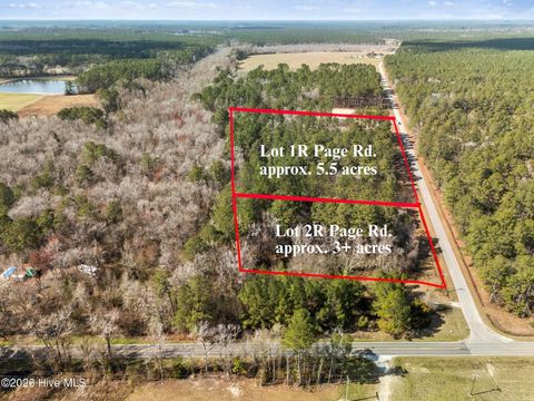 Tiny photo for 1 Page (Crabtree) Road, Burgaw, NC 28425 (MLS # 100565890)
