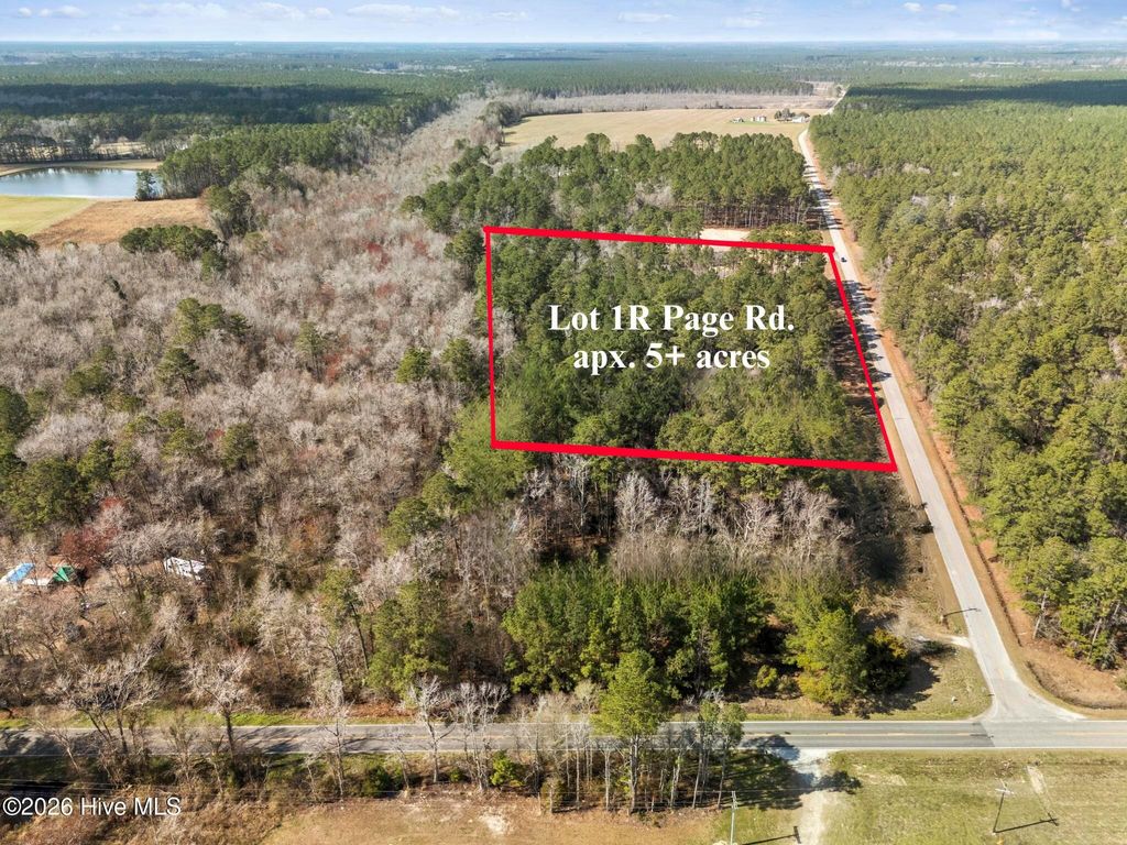 Photo of 1 Page Road, Burgaw, NC 28425 (MLS # 100565890)