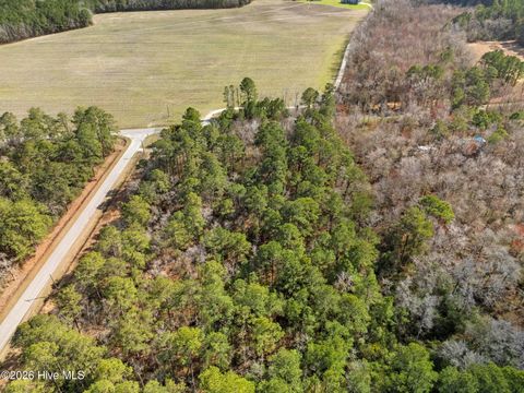 Tiny photo for 1 Page (Crabtree) Road, Burgaw, NC 28425 (MLS # 100565890)