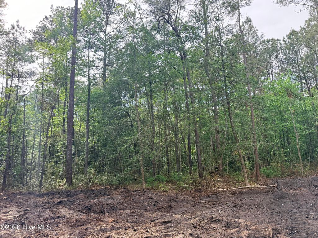 Photo of 1 Page (Crabtree) Road, Burgaw, NC 28425 (MLS # 100565890)