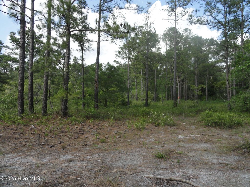 Photo of 1 River Trail Lot 1, Burgaw, NC 28425 (MLS # 100503832)
