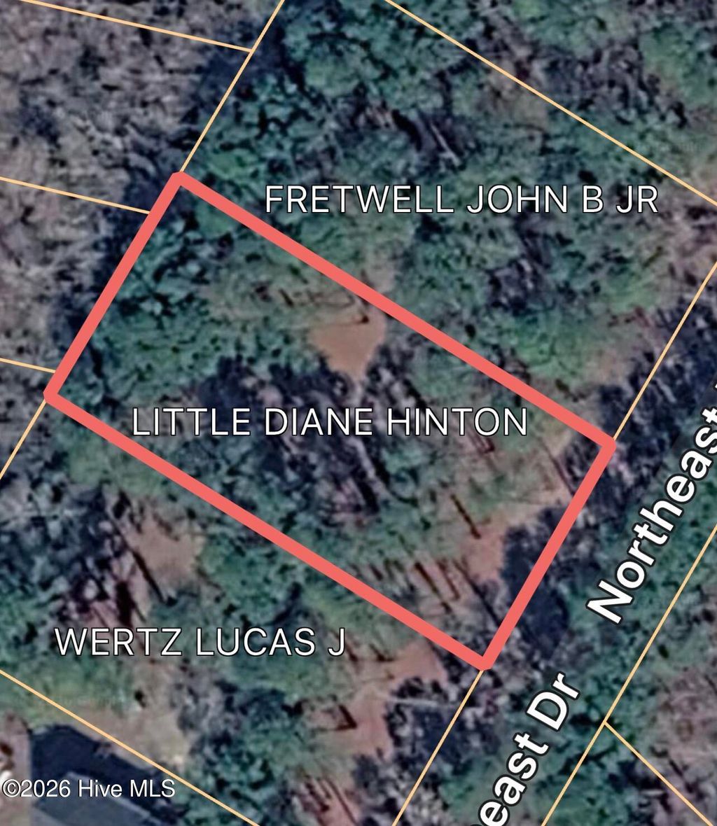 Photo of 0 Northeast Drive, Burgaw, NC (MLS # 100572920)