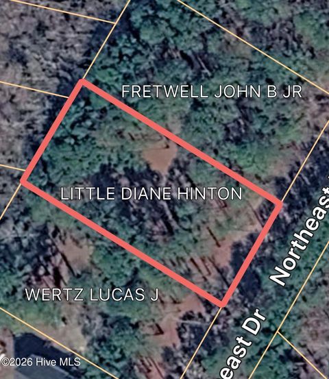 Photo of 0 Northeast Drive, Burgaw, NC 28425 (MLS # 100572920)
