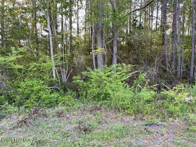 4795 Acres Lane SE