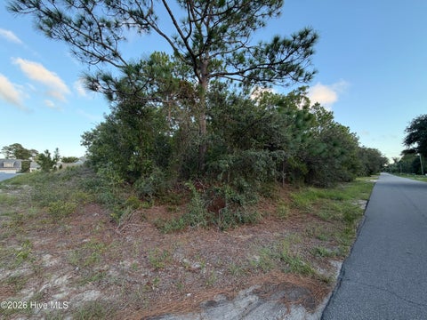 Tiny photo for 6061 Shiloh Drive, Wilmington, NC 28409 (MLS # 100601968)