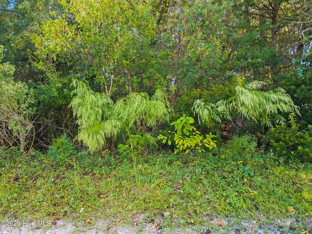 Photo of 2895 Jeremy Street SW, Supply, NC 28462 (MLS # 100535814)