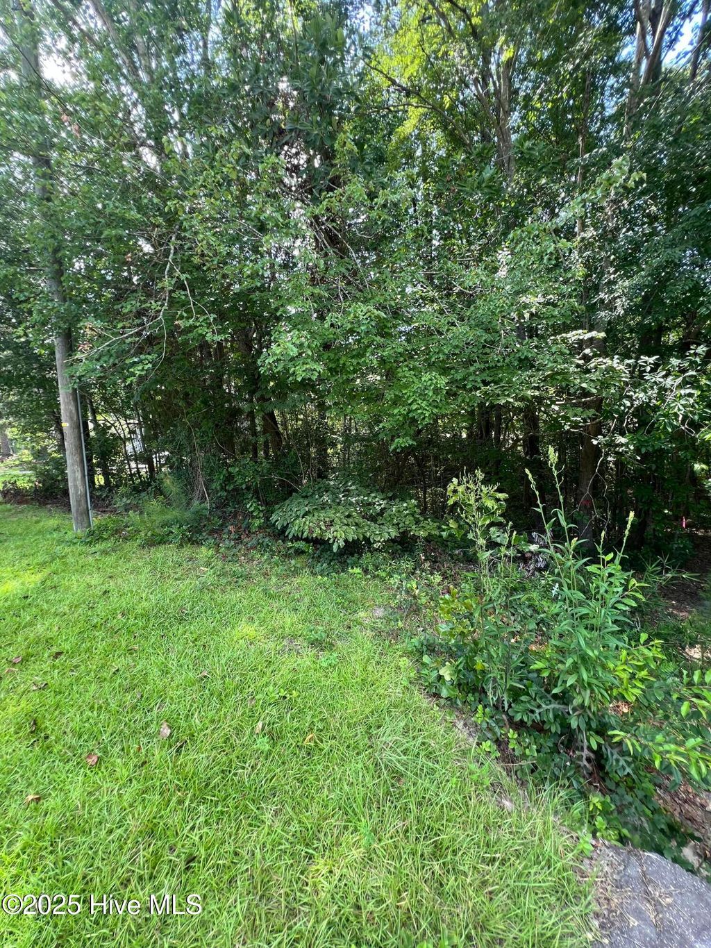 Photo of 301 Spring Lake Drive, Pinehurst, NC 28374 (MLS # 100555317)