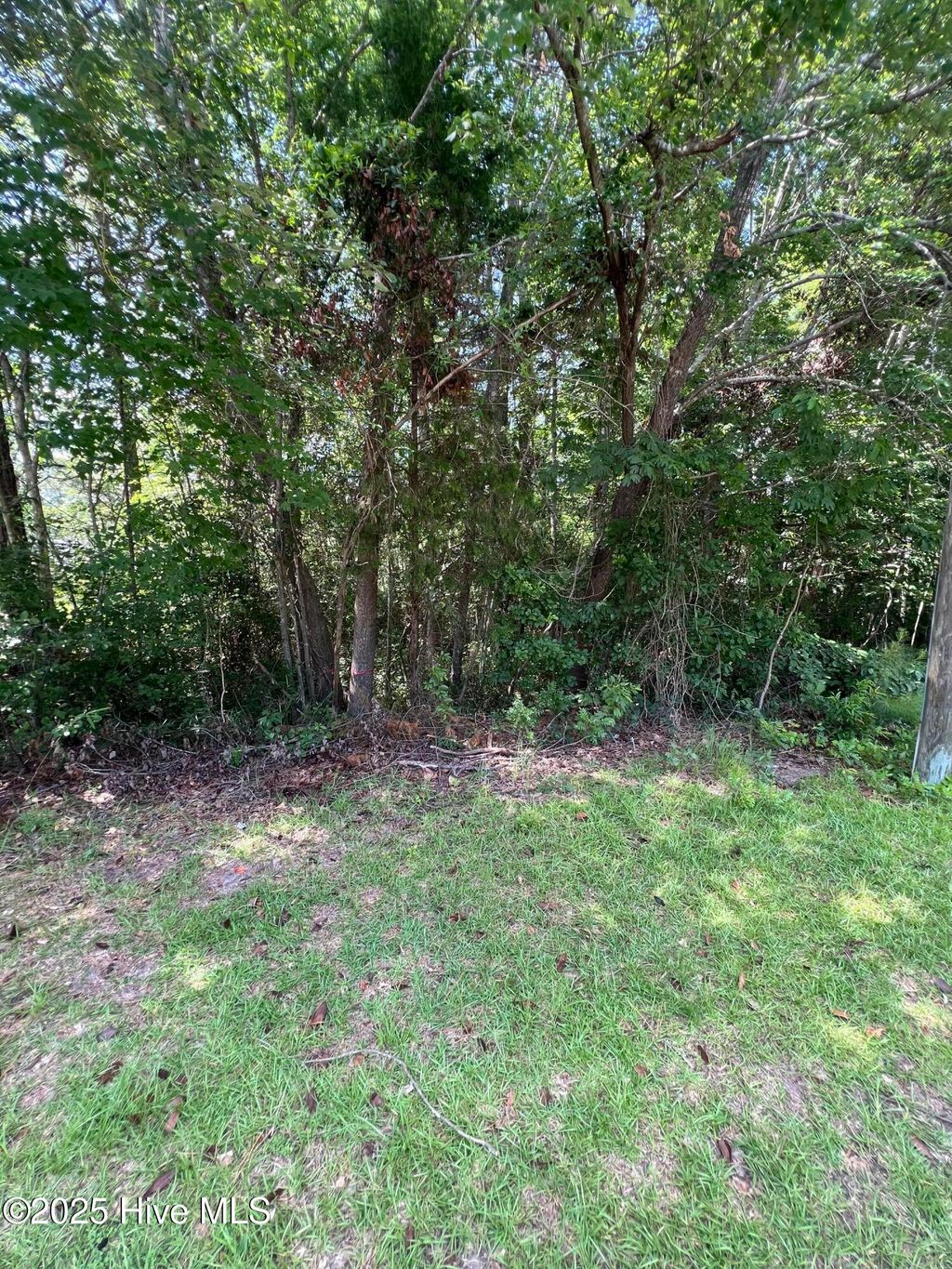 Photo of 301 Spring Lake Drive, Pinehurst, NC 28374 (MLS # 100555317)