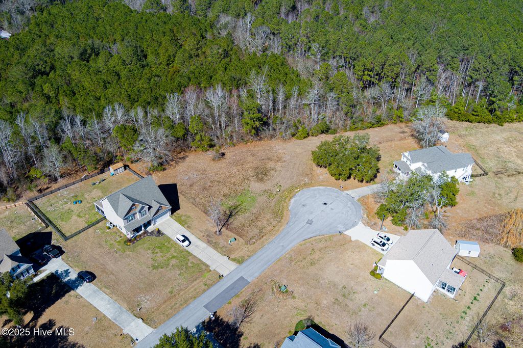 Photo of 215 Willas Court, Holly Ridge, NC 28445 (MLS # 100369185)