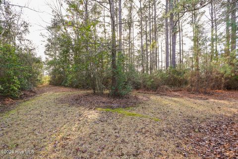 Tiny photo for 143 Ramsey Road, Jacksonville, NC 28546 (MLS # 100550482)
