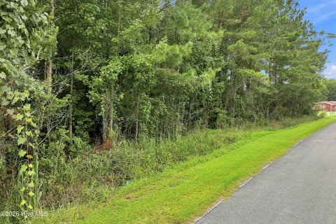 Tiny photo for 711 Lee Road, Maple Hill, NC 28454 (MLS # 100598607)
