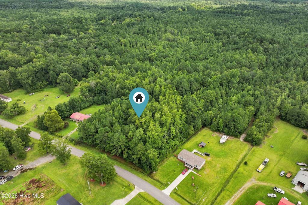 Photo of 711 Lee Road, Maple Hill, NC 28454 (MLS # 100598607)