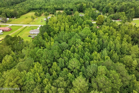 Tiny photo for 711 Lee Road, Maple Hill, NC 28454 (MLS # 100598607)