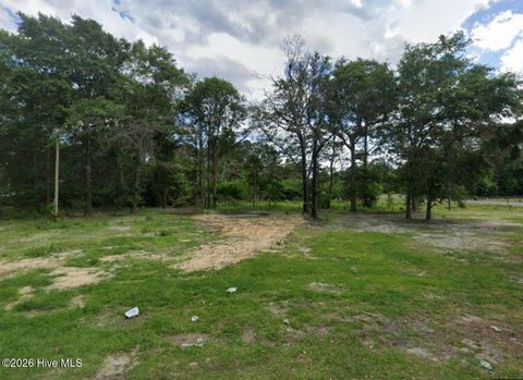 Vacant Land For Sale - 100 Hopesway Drive<br/> Dudley, NC 28333