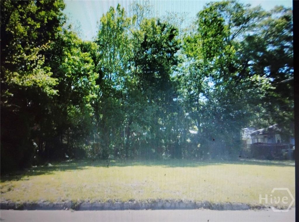 Photo of 1806 Le Grand Street, Savannah, GA 31401 (MLS # SA349352)