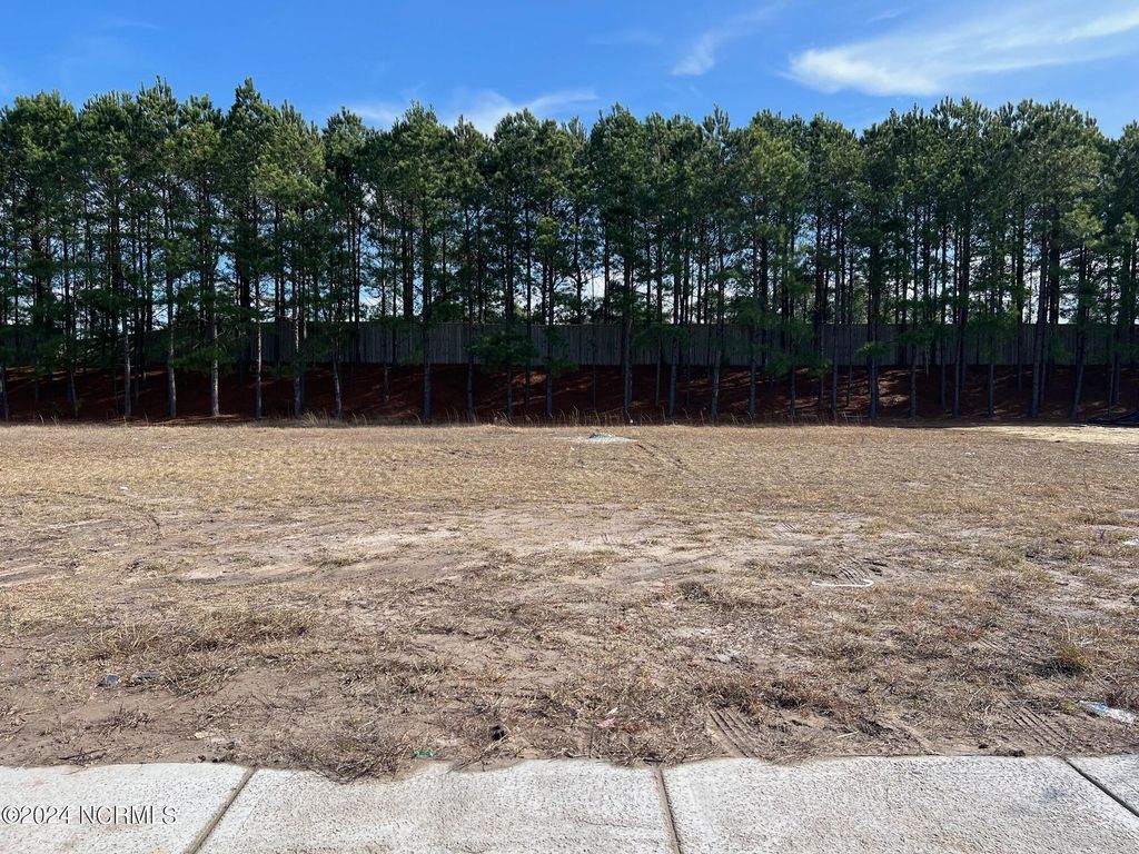 Photo of 2197 Palm Pointe Pointe NE, Leland, NC 28451 (MLS # 100551388)