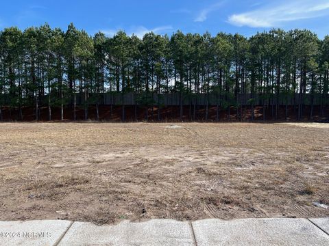 2197 5 Palm Pointe Pointe NE Leland NC 28451