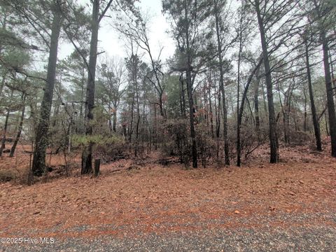 Vacant Land For Sale - 1211 Laurel Circle<br/> Vass, NC 28394