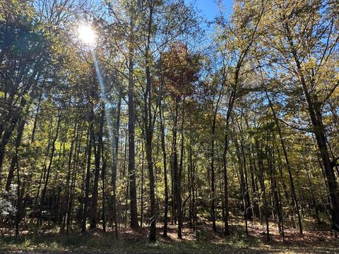 Vacant Land For Sale - 167 Southwind Drive<br/> Mccormick County, McCormick, SC 29835