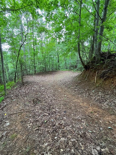 Vacant Land For Sale - LT 527-3 Farmers Top Drive<br/> Murphy, NC 28906
