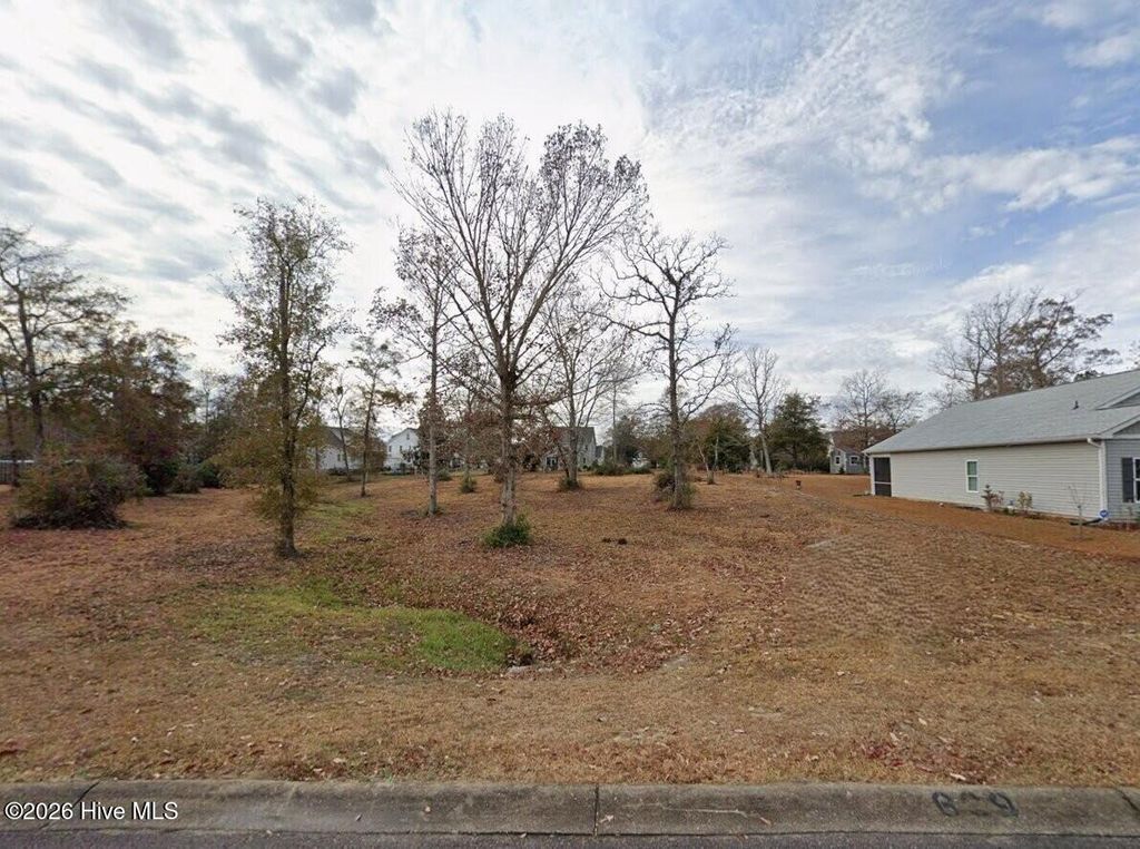 Photo of 669 Squirrel Run Drive SW, Supply, NC 28462 (MLS # 100566359)