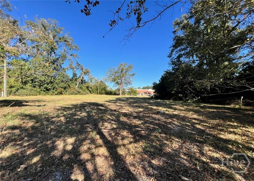 Photo of 723 South Main Street St, Statesboro, GA 30458 (MLS # SA350019)