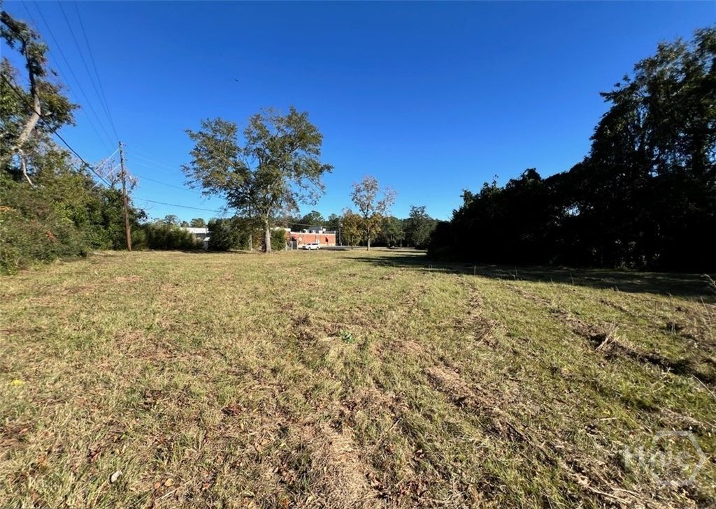 Photo of 723 South Main Street St, Statesboro, GA 30458 (MLS # SA350019)