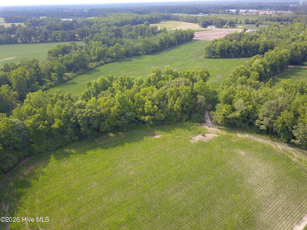 Photo of 1817 Off S/ Road S, Chinquapin, NC 28521 (MLS # 100587846)
