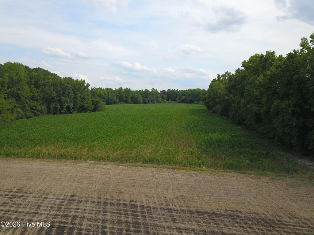 Photo of 1817 Off S/ Road S, Chinquapin, NC 28521 (MLS # 100587846)