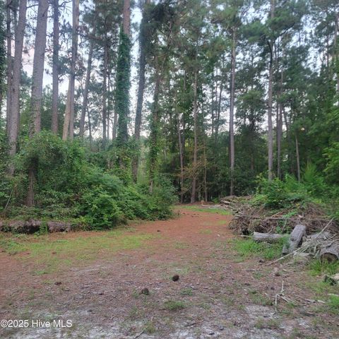 Tiny photo for 6816 Nc Hwy. 53 E, Burgaw, NC 28425 (MLS # 100528002)